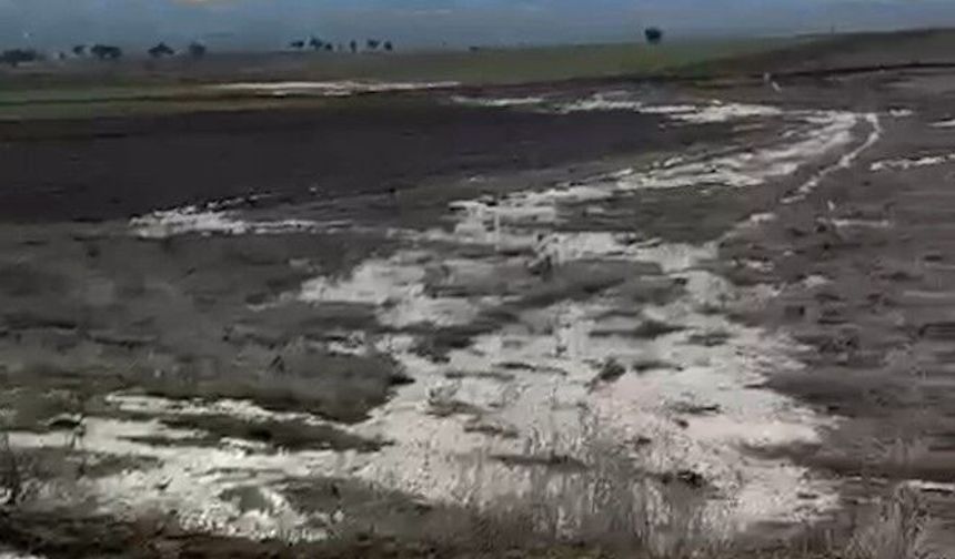 Gerede Havzası'ndaki kirlilik nedeniyle ASKİ'ye 2 milyon lira ceza