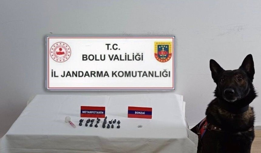 Bolu’da uyuşturucu operasyonu