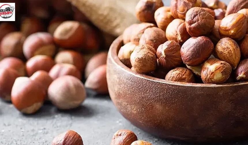 Taşkesti’de Fındık Alımı İçin Randevu Dönemi Başladı