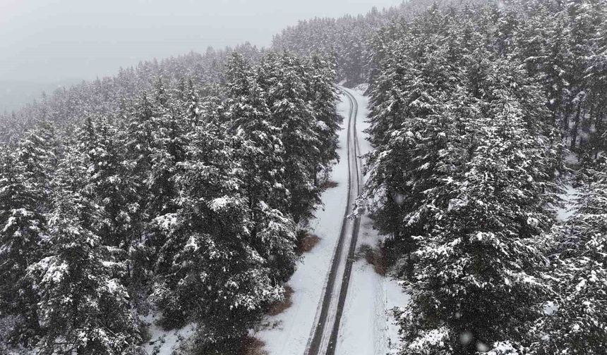 Bolu’nun yaylaları beyaza büründü! Kartalkaya’da kar manzarası